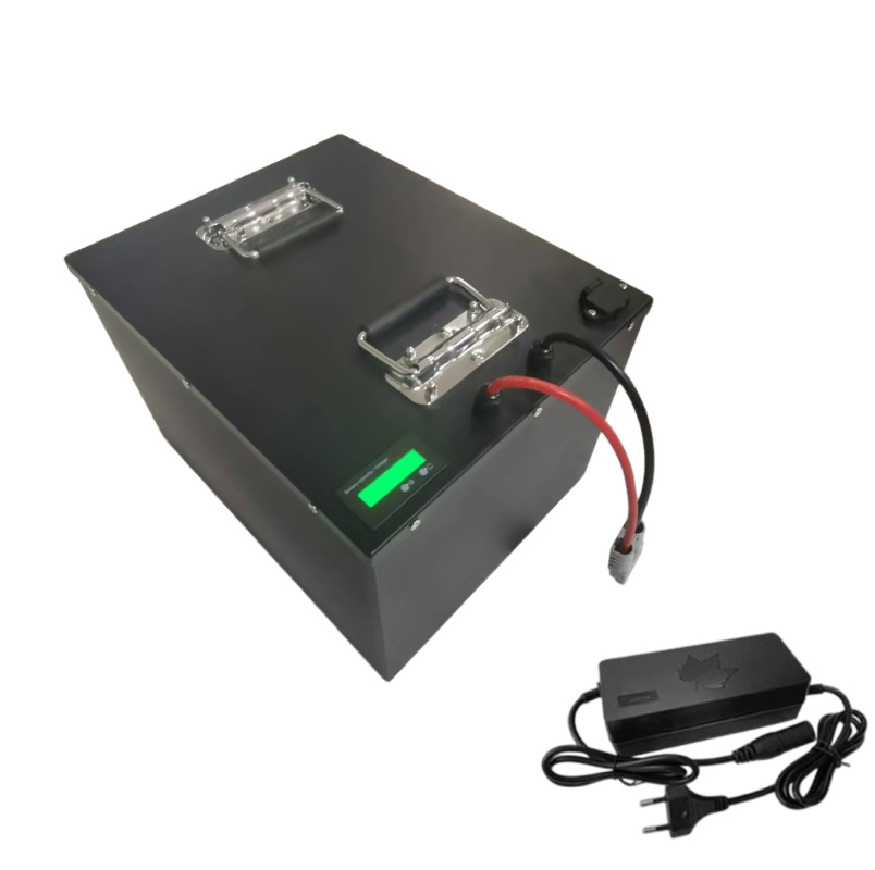 Batería de Litio Lifepo4 60V 4 - 60V 50Ah Electric Scooter Battery reseña y precio